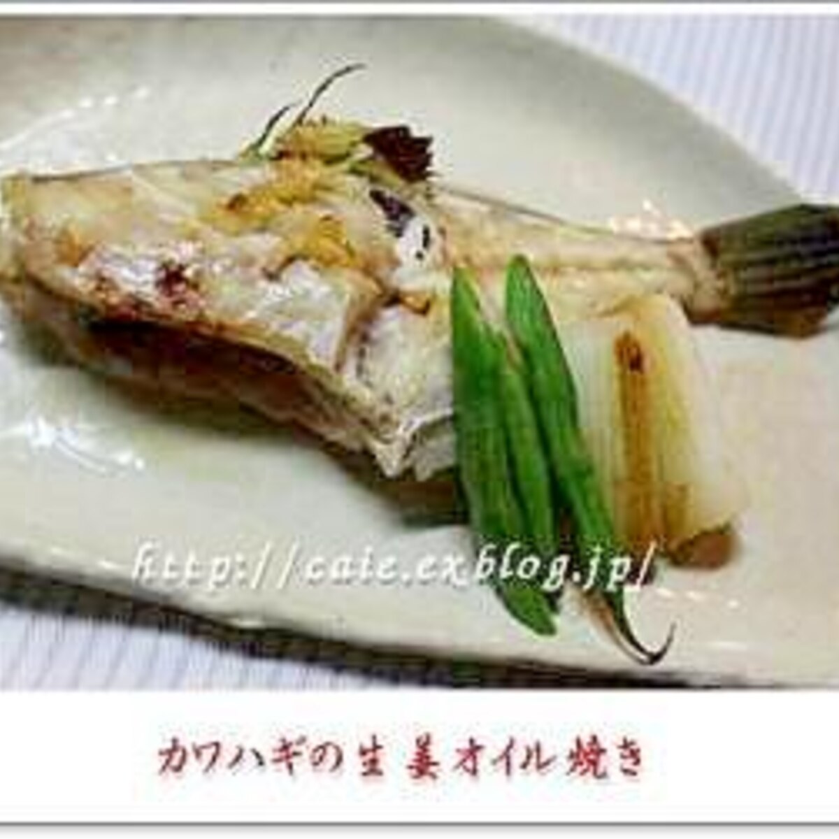 煮魚嫌いさんに カワハギの生姜オイル焼き レシピ 作り方 By かいえ 楽天レシピ 煮魚嫌いさんに カワハギの生姜オイル焼き レシピ 作り方 By かいえ 楽天レシピ